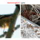 Image for article titled Thousands of Reasons That We Shouldn't Trust a Neural Network to Analyze Images
